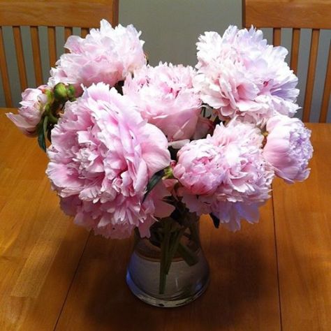 10013520_10152846904349745_6113499706427455767_n